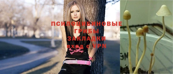 ALPHA PVP Кулебаки