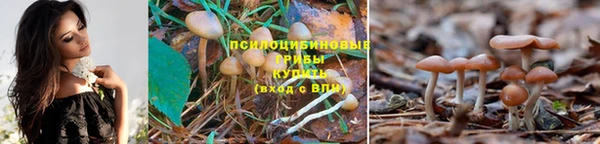 дживик Кукмор