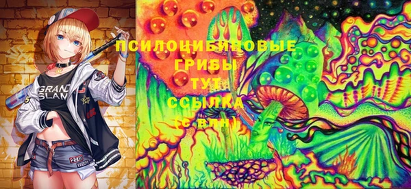 дживик Кукмор